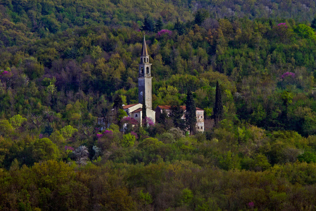 primavera-2.jpg