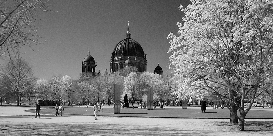 Primavera-a-Berlino.jpg
