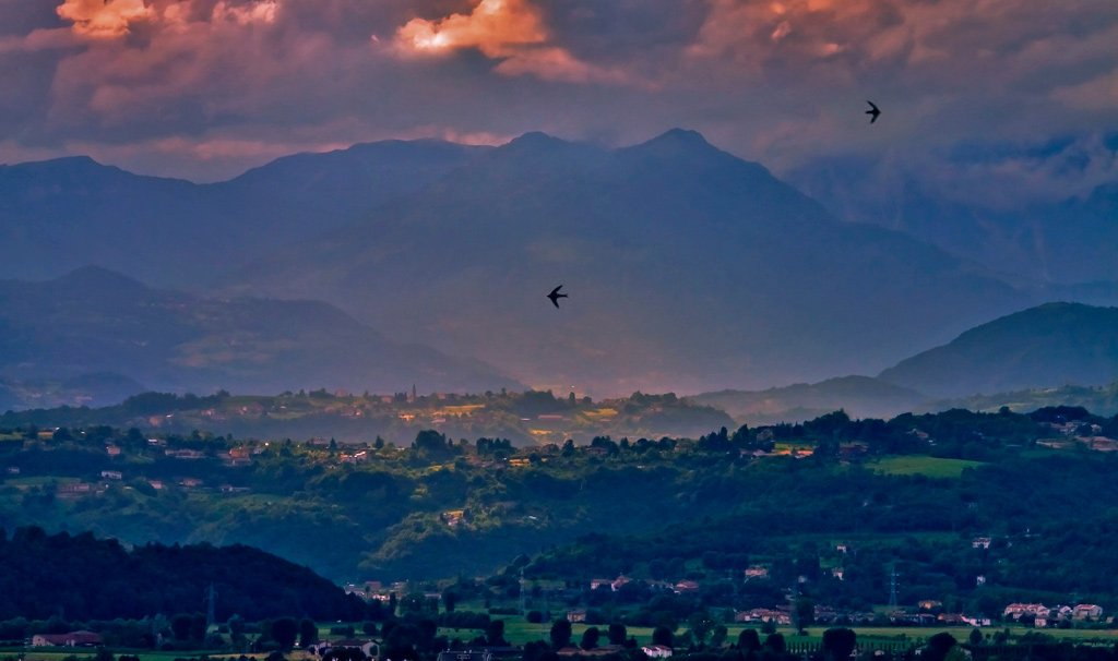 primavera.jpg