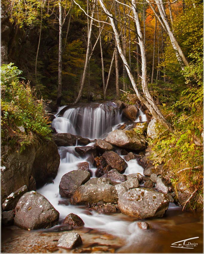 primi colori d'autunno.jpg