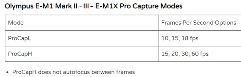 ProCap L - H.jpg