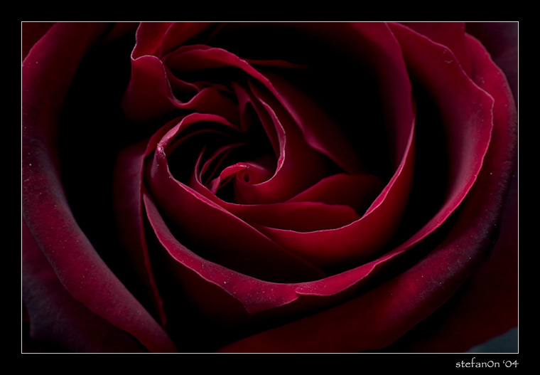 profondo-rosso.jpg
