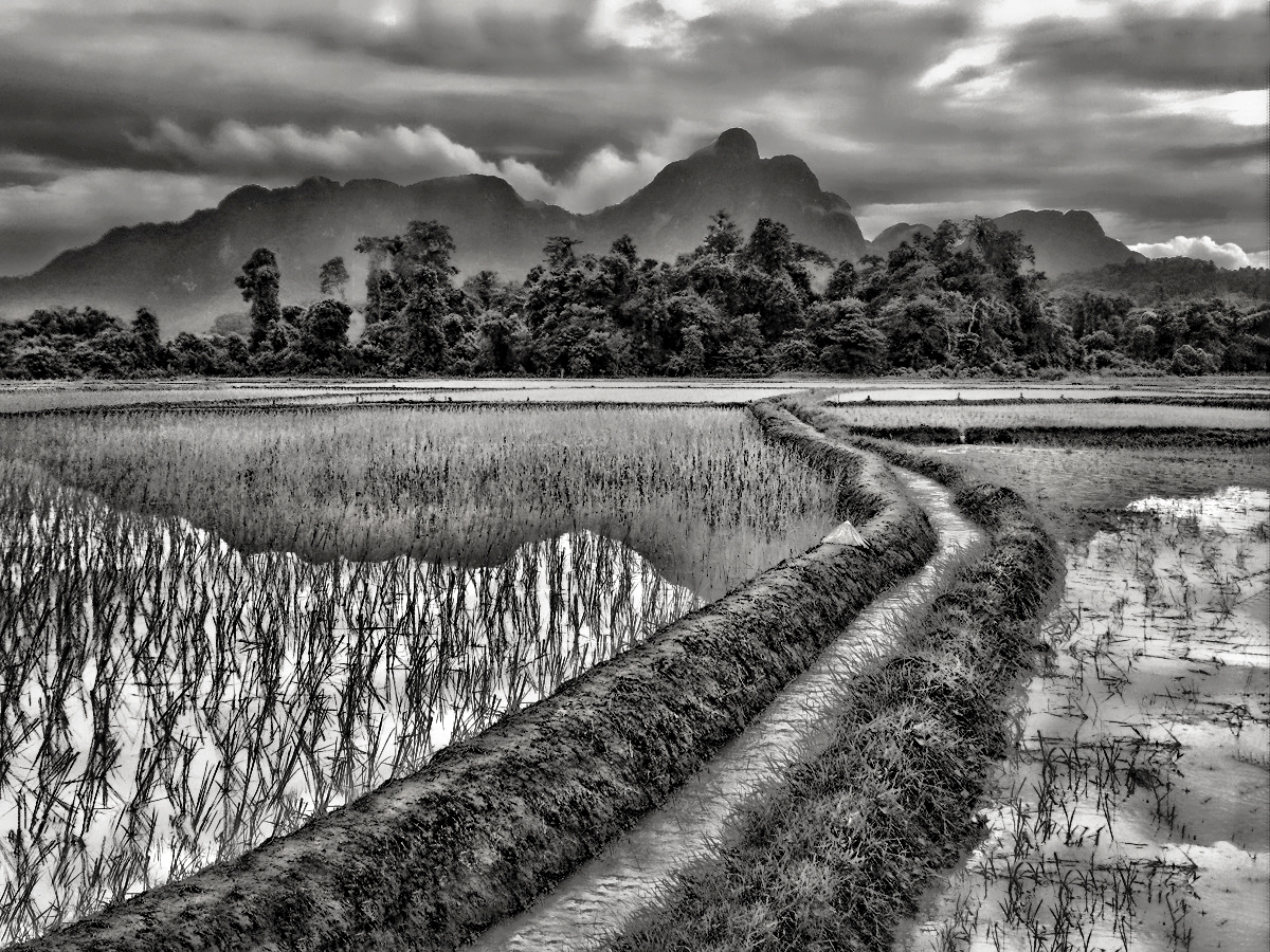 profondo Laos.jpg
