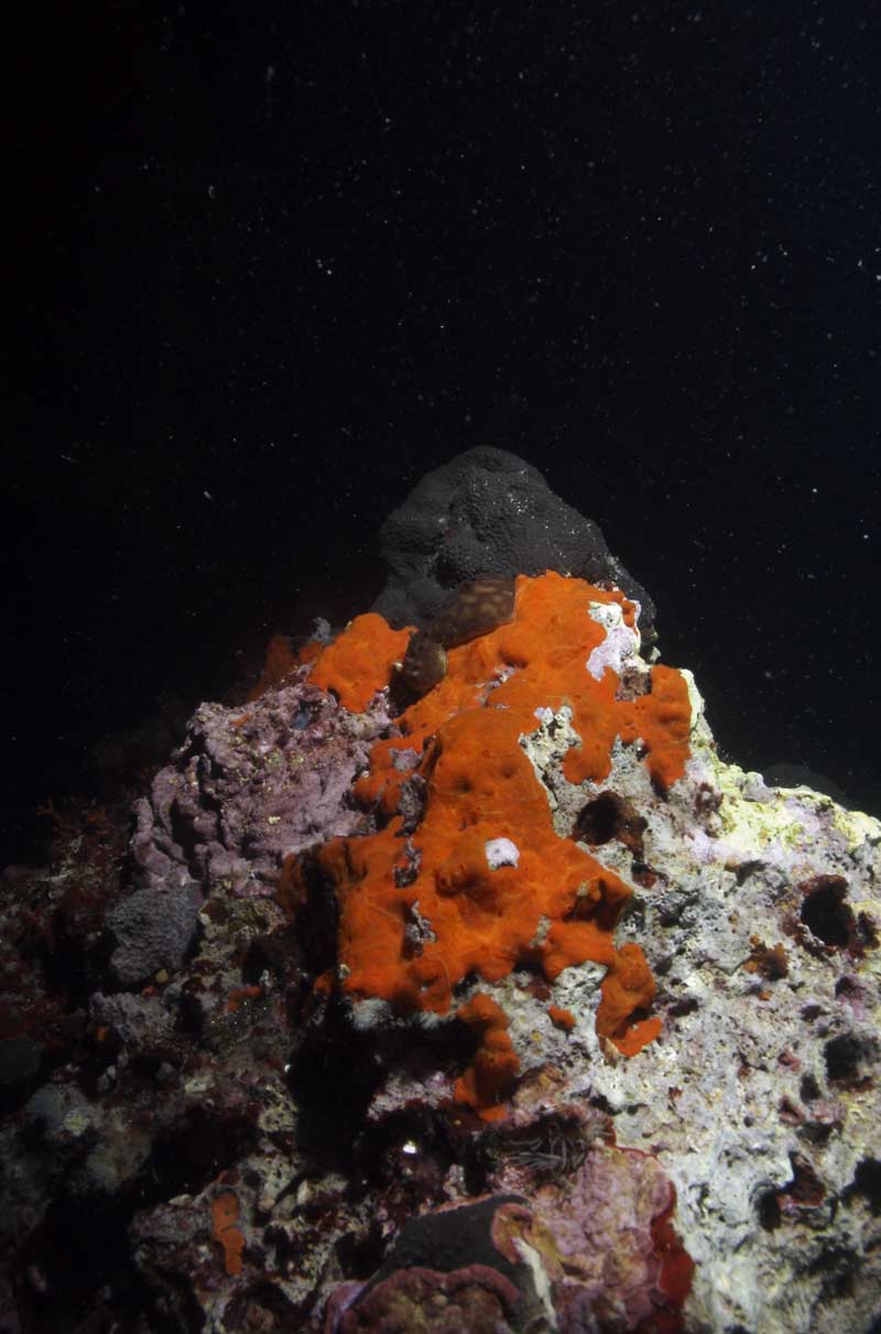Prova-d70.jpg