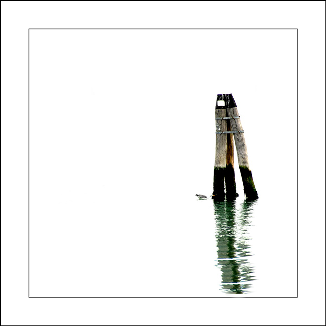 prova-per-zen-marco.jpg