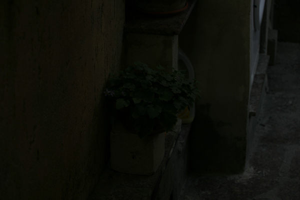 prova-tif1.jpg