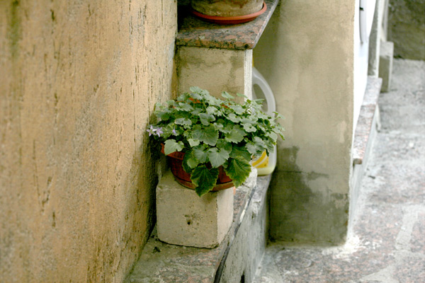 prova-tif2.jpg