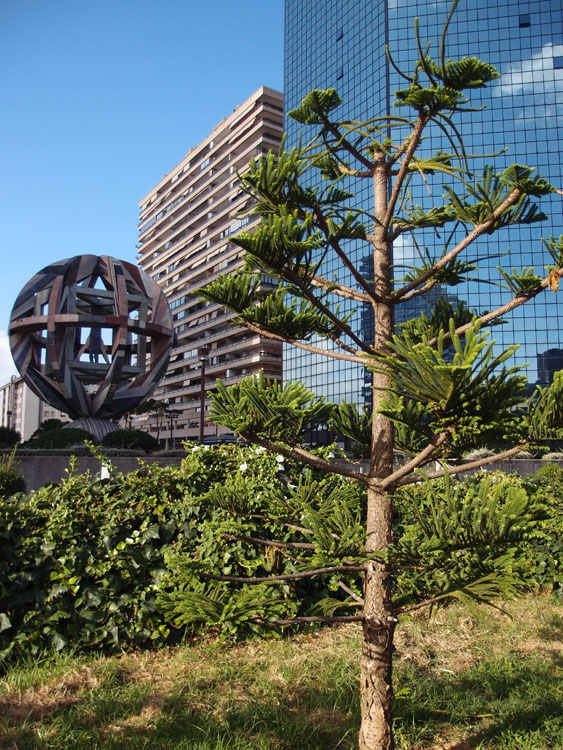 prova-xz-121072011_128.jpg