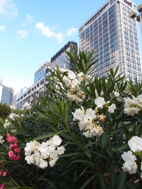 prova-xz-121072011_164.jpg