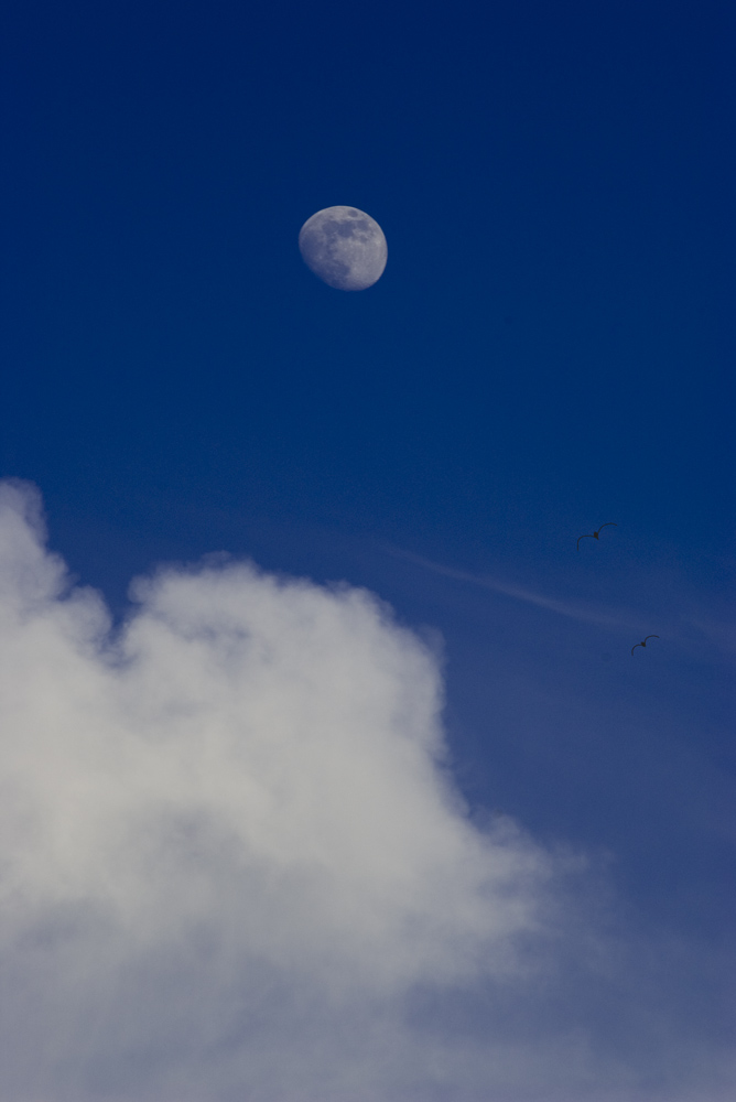 prova75-300.jpg