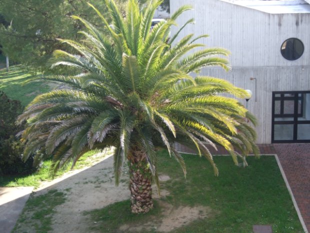 prova 002.jpg