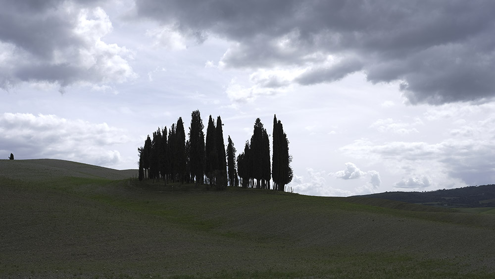 prova per forum.jpg