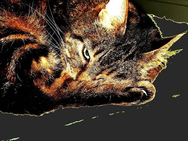 prove 034mod3 (800 x 600) (2) (800 x 600) (640 x 480).jpg