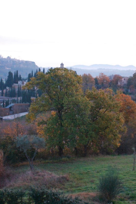 provini 40D 021.jpg