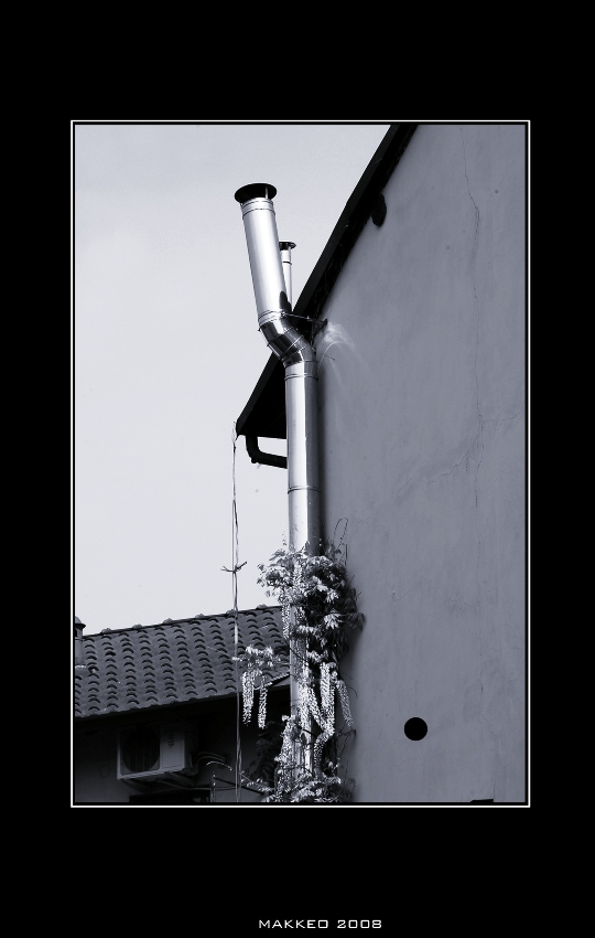 PS (6) copy2.jpg