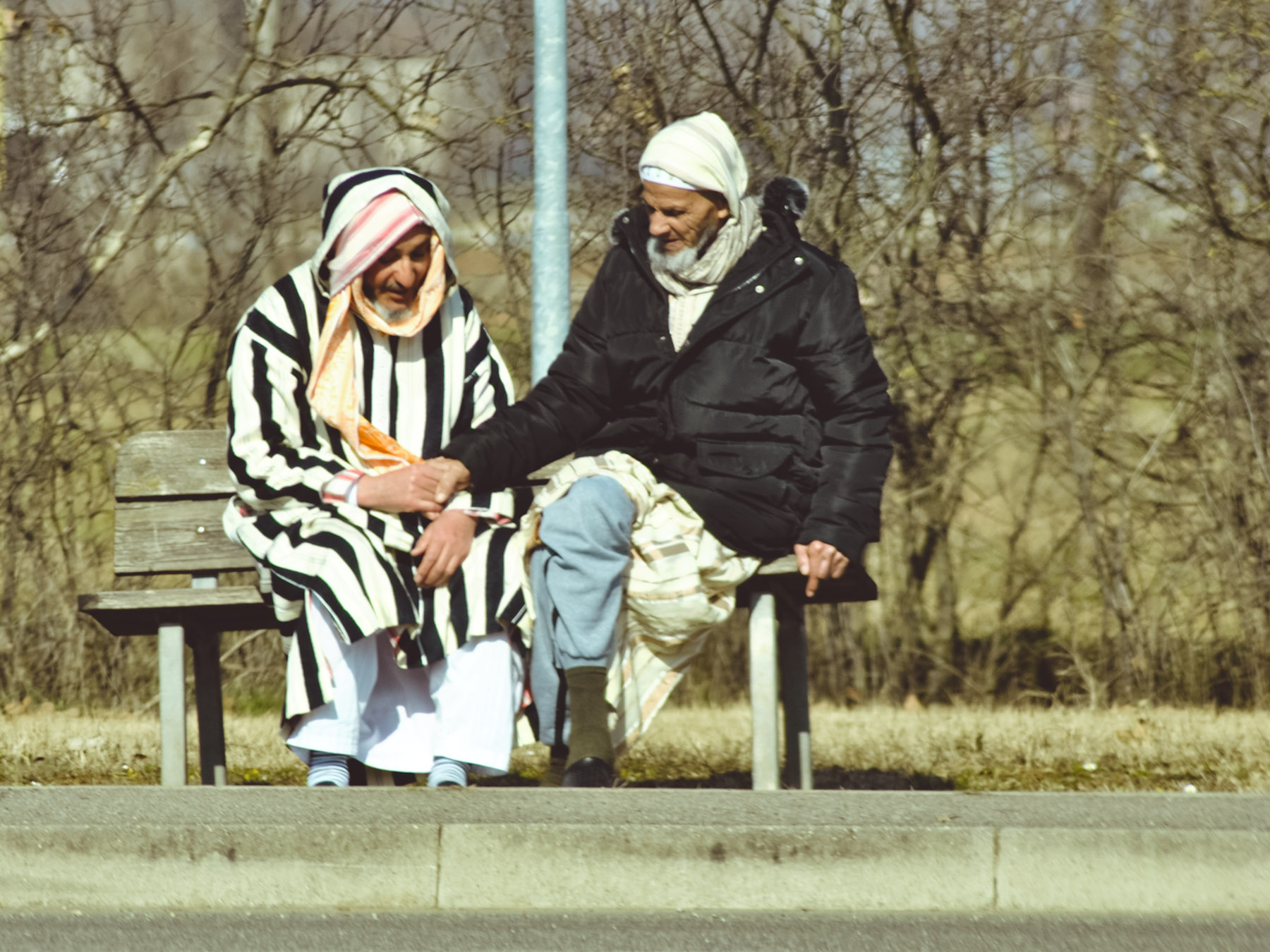 PSX_20190222_125600.jpg