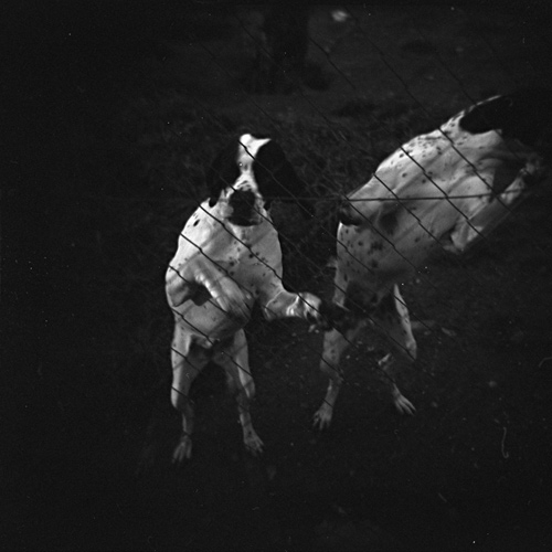 Quadretti_Holga_018.jpg