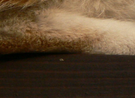 R001-0003_crop1.jpg