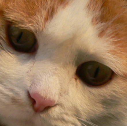 R001-0003_crop2.jpg