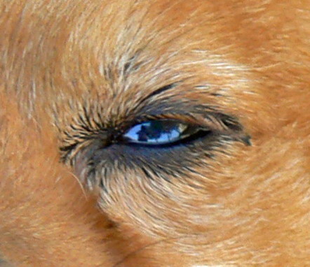 R001-0004_crop1.jpg