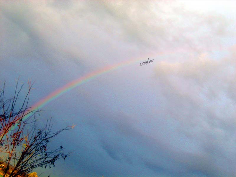 rainbow.jpg