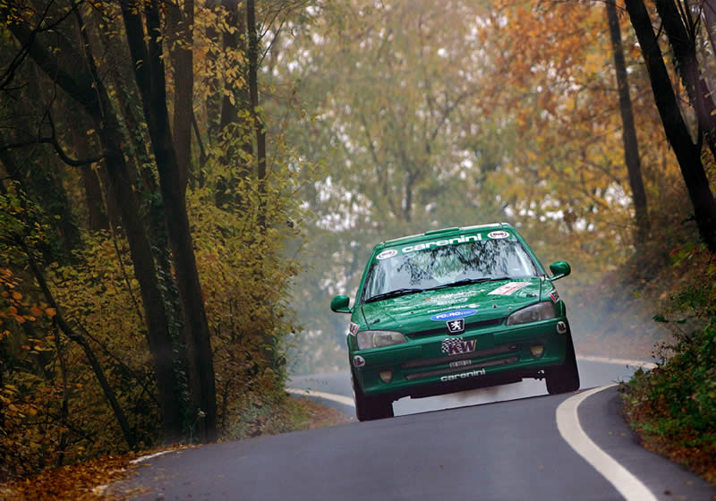 rallypalladio7.jpg