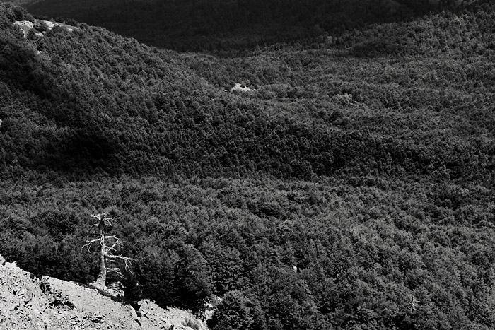 RAW_0604bn.jpg