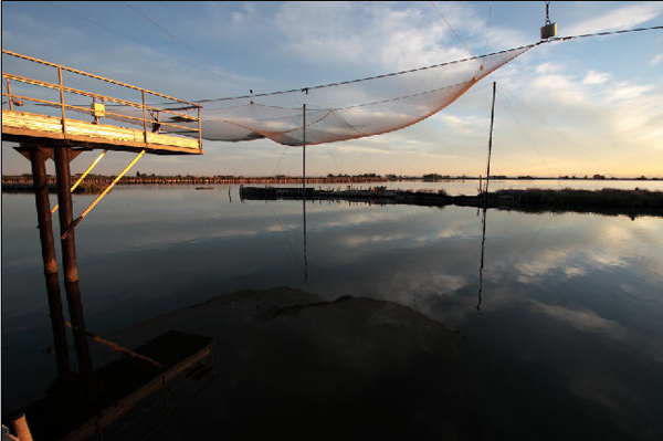 rawpontile90.jpg