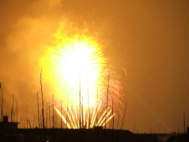 rDSCF1039.jpg