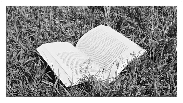 Reading-for-passion.jpg