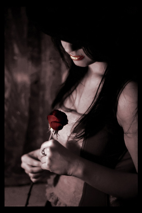 RedRose.jpg