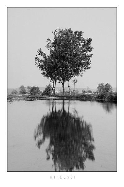reflections.jpg