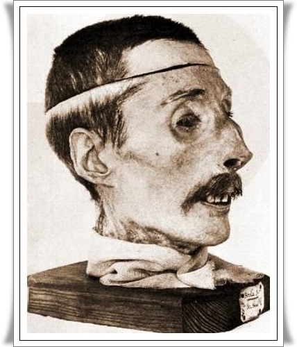reperto_01.JPG