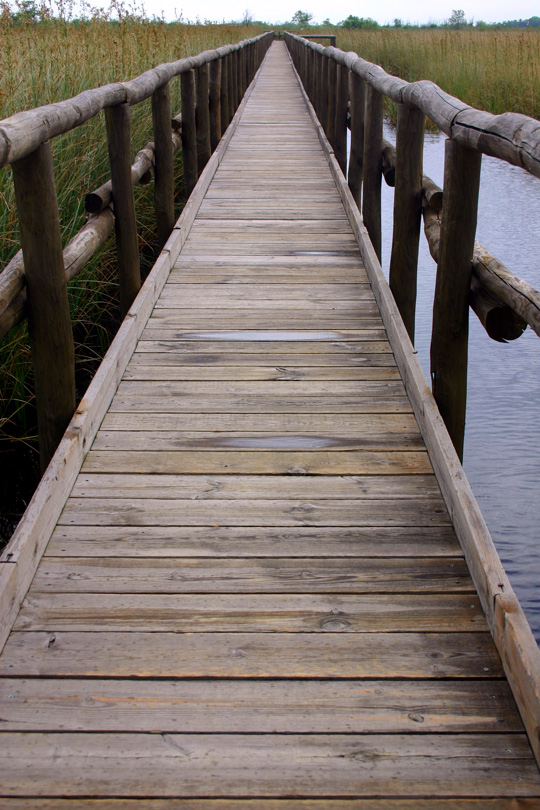 Reportage-mass-3.jpg