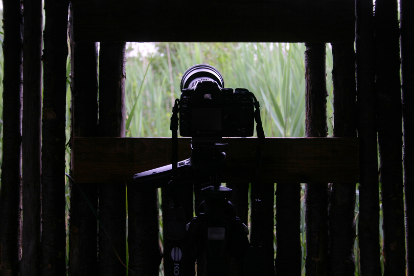 Reportage-mass-4.jpg