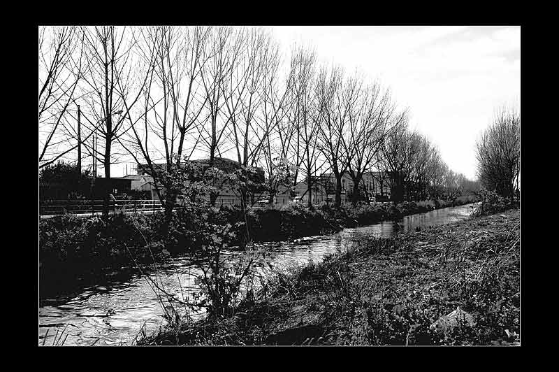 Reportage_Sarno_Corso.jpg