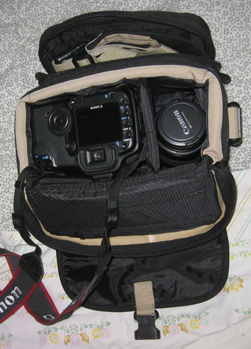 reporter4_328.jpg