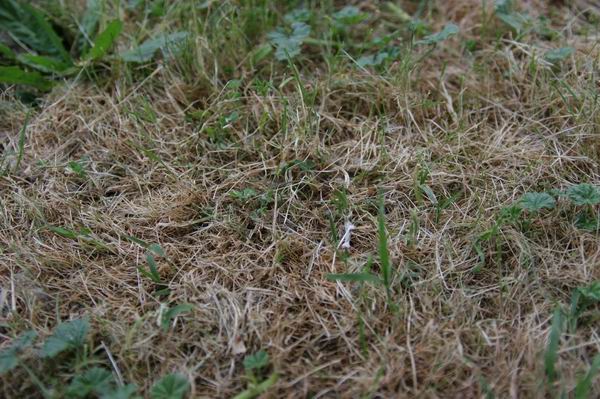 Resize of 24mm 2.8 1su50.JPG
