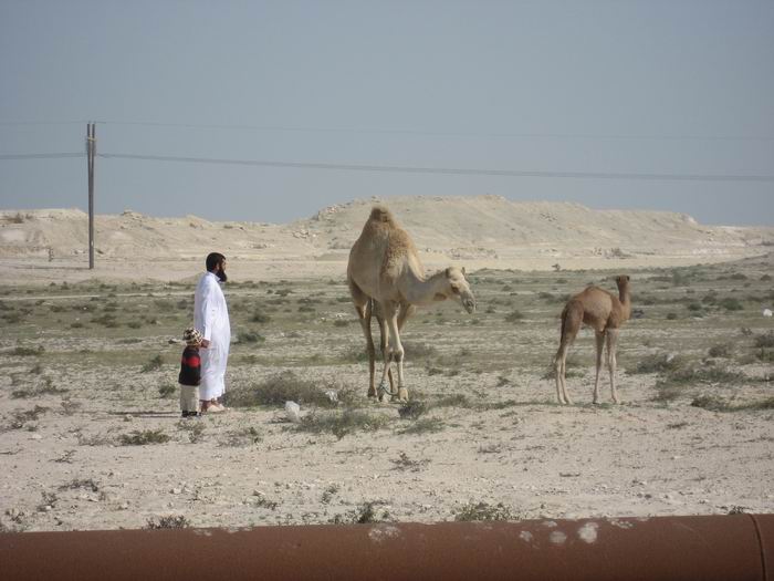 Resize of IMG_0533.JPG