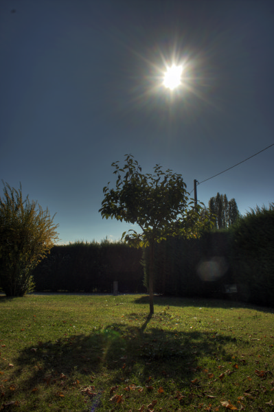 Resized hdr.jpg