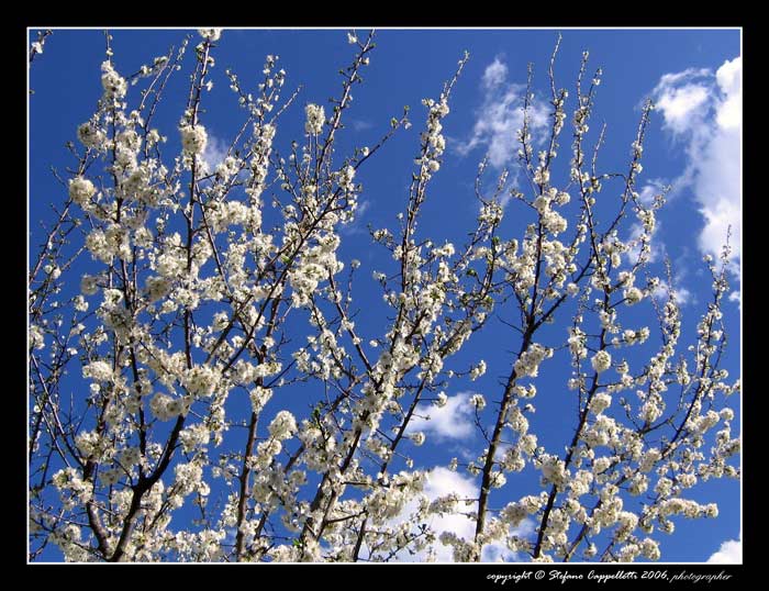 Ricami-nel-cielo.jpg