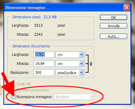 ricampiona.jpg