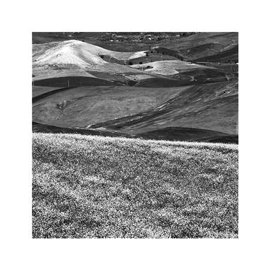riccardobruno-bn.jpg