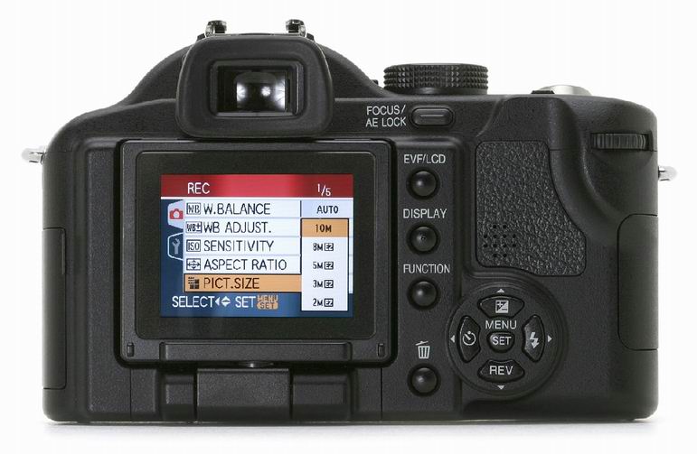 Ridimensiona difz50-02.jpg