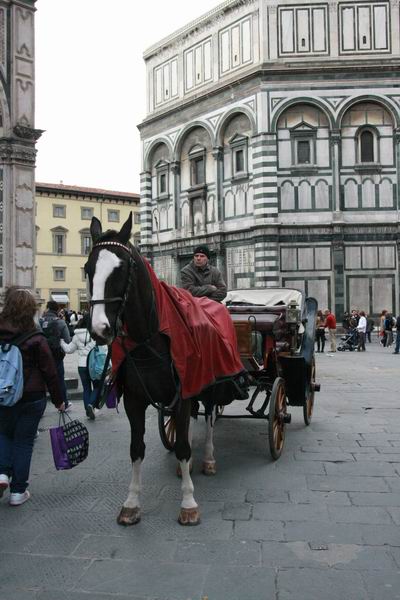 Ridimensiona diIMG_0013.JPG