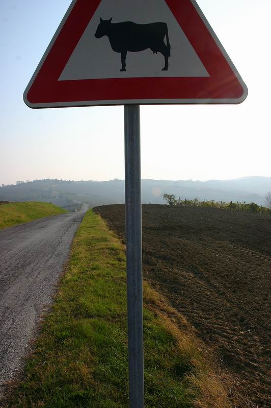 Ridimensiona diIMG_4062.JPG