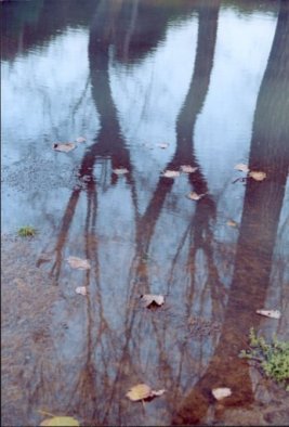 riflessi2.jpg