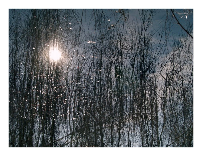 riflessi.jpg