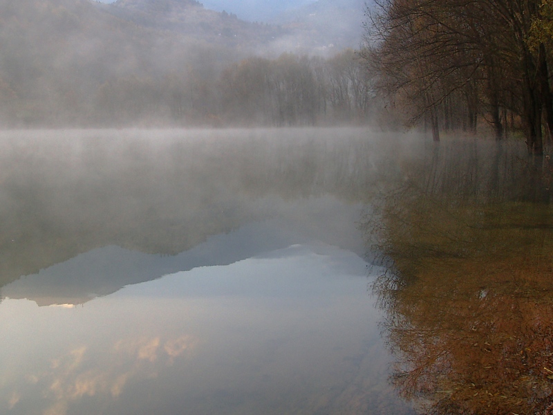 Riflessi 3.JPG