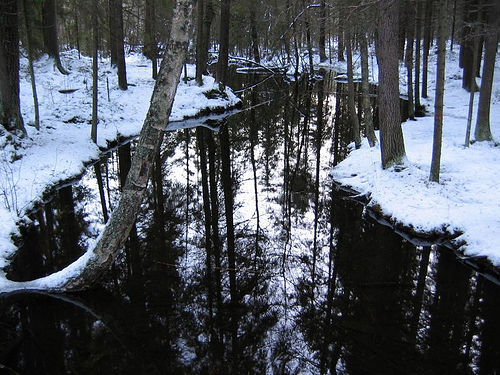 riflessi.jpg